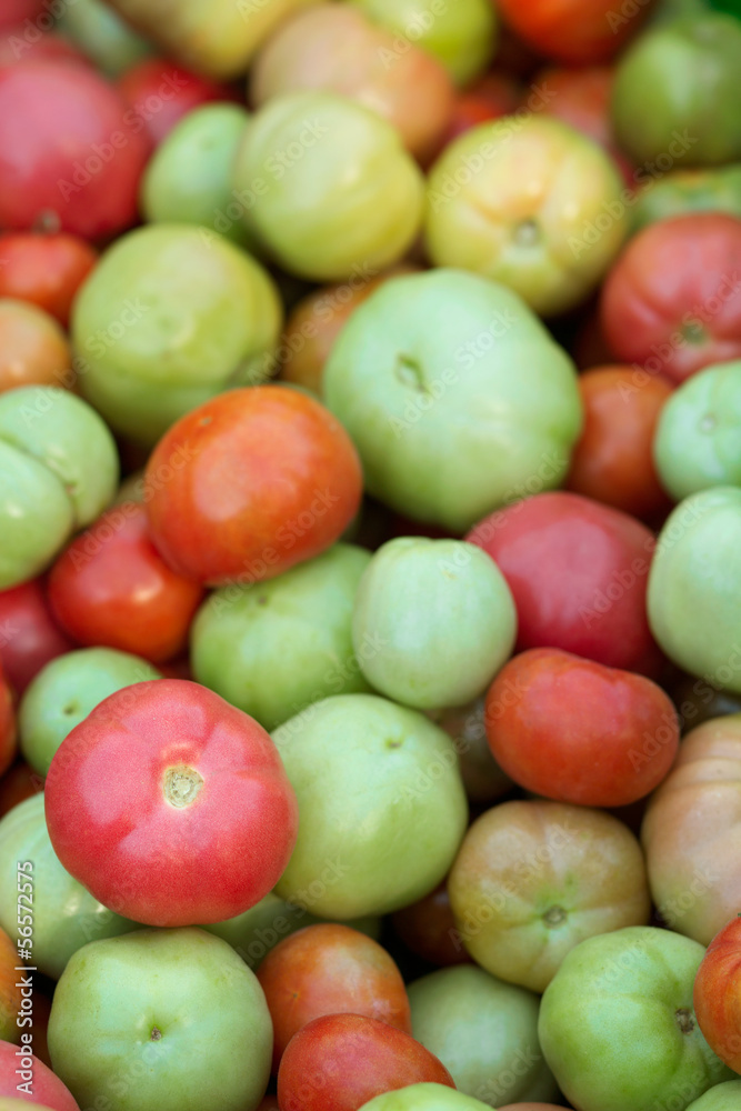 A close up of red and green riping tomatoes