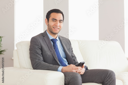 Smiling businessman sitting on cosy sofa