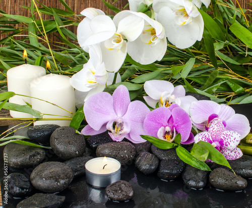 Wellness: Orchideen, Steine, Bambus, Wasser, Feuer
