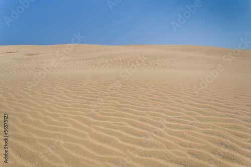 Sand dune of desert