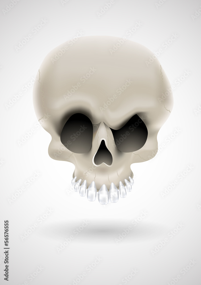 vector cartoon skull with silver teeth vector cartoon skull with silver teeth