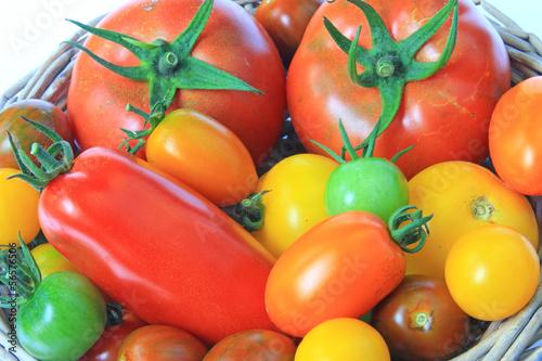 Bunte Tomatenvielfalt