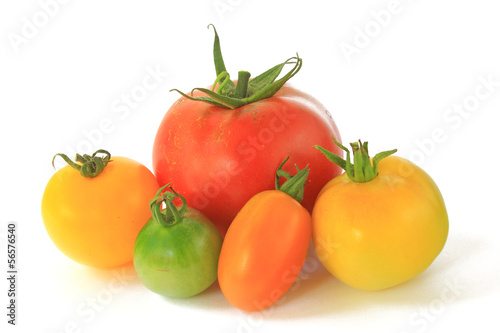 verschiedene Tomatensorten