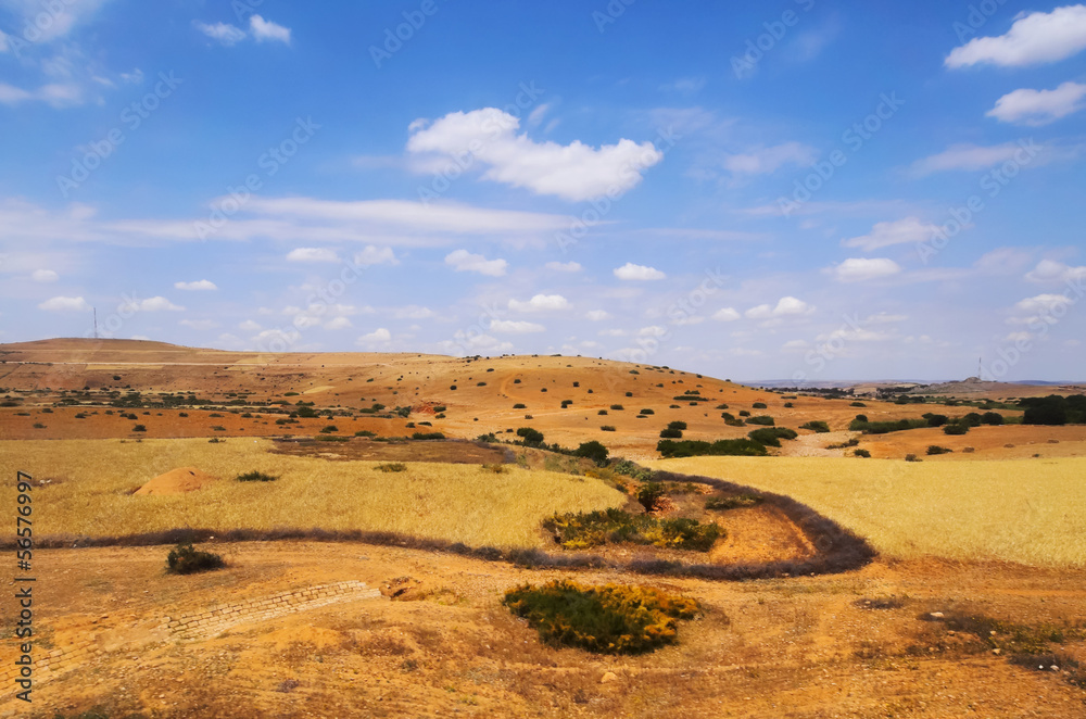 Obraz premium Moroccan Landscape