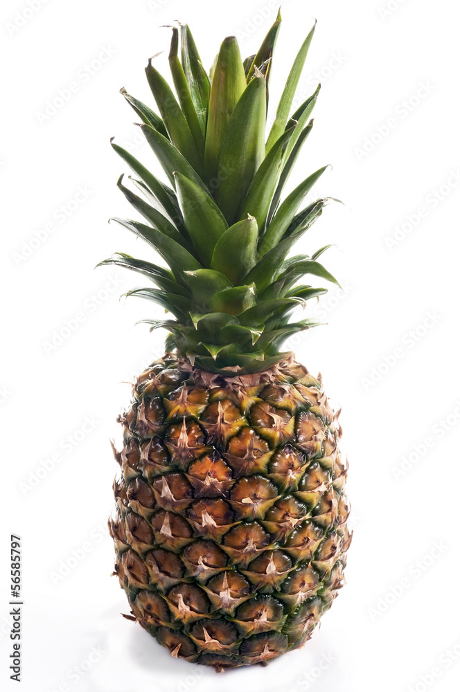 Ananas Ananas
