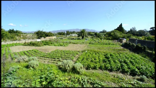 cultivo minufundio pequeño