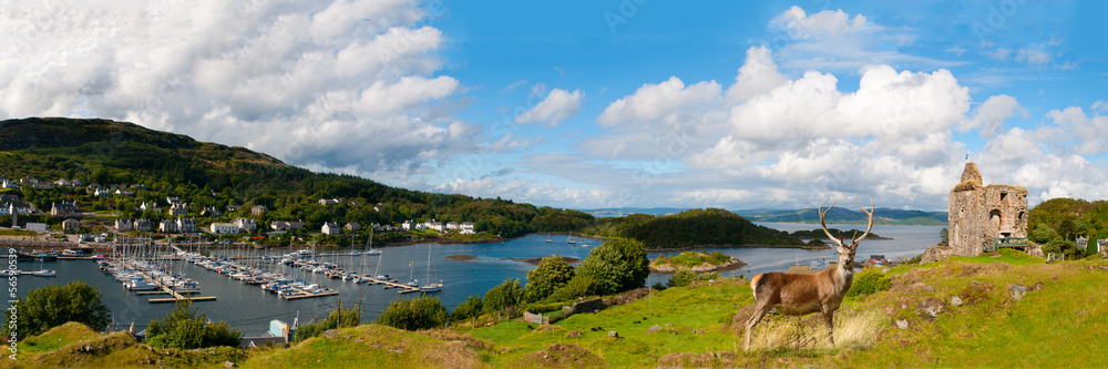 Tarbert Castle and harbor with Red deer in front