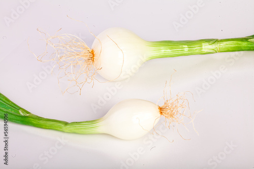 Cebollitas green pearl sclallions onions isolated on white  photo