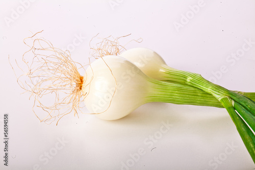 Cebollitas green pearl sclallions onions isolated on white  photo