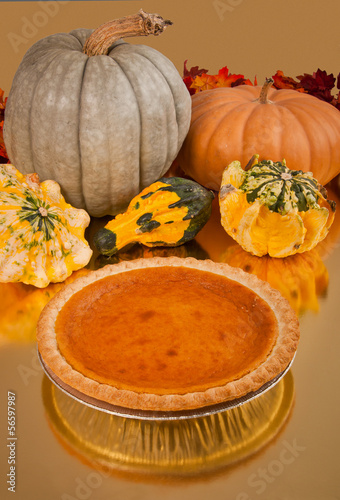 Festive Pumpkin Pie