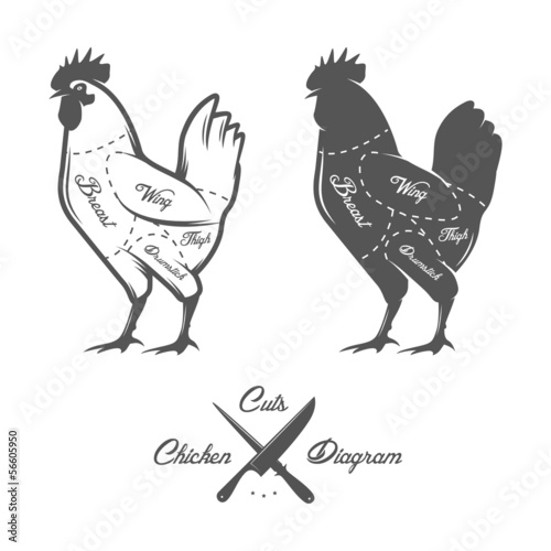 Chicken cuts diagram