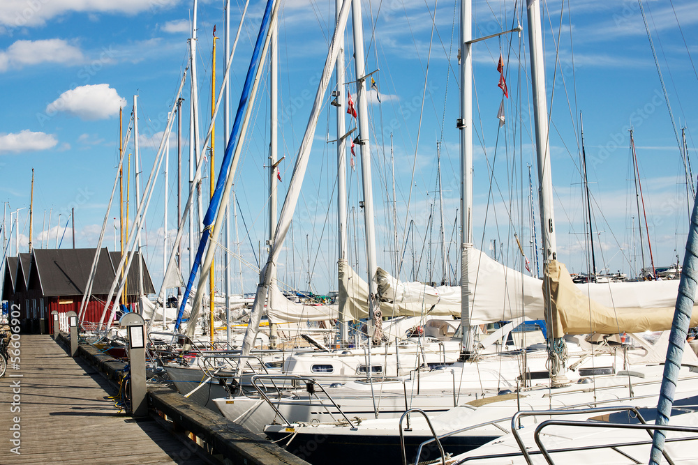 Obraz premium Boats in marina