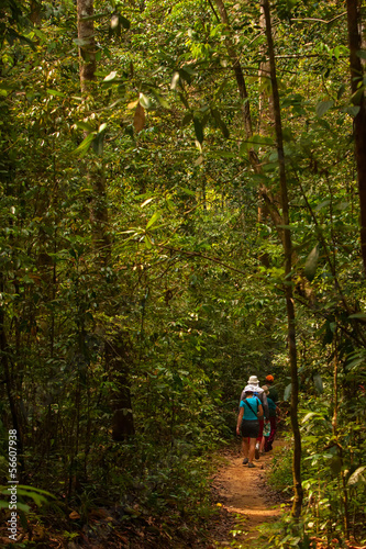 Trekker walks in jungles in Sri Lanka