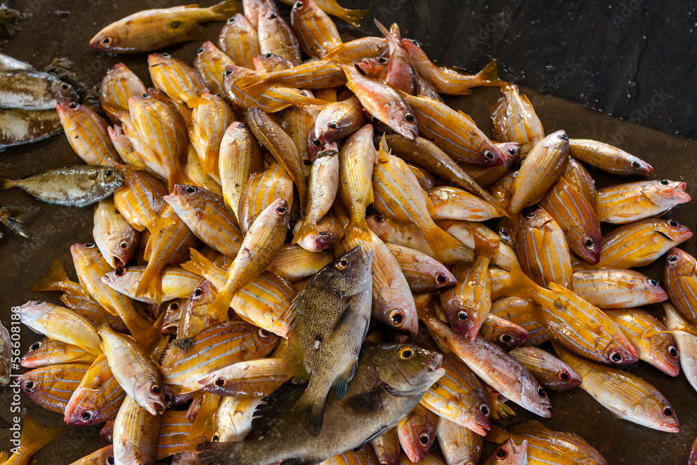 Fish and seafood at seamarket in Sri Lanka Fish and seafood at seamarket in Sri Lanka
