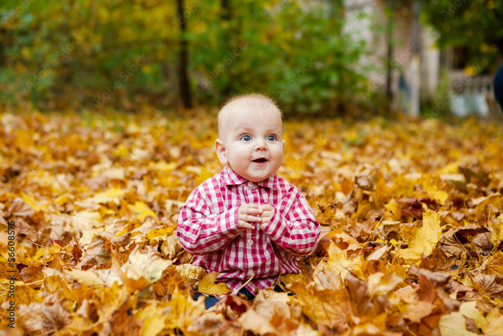 Child in red shirt sits in autumn park Child in red shirt sits in autumn park