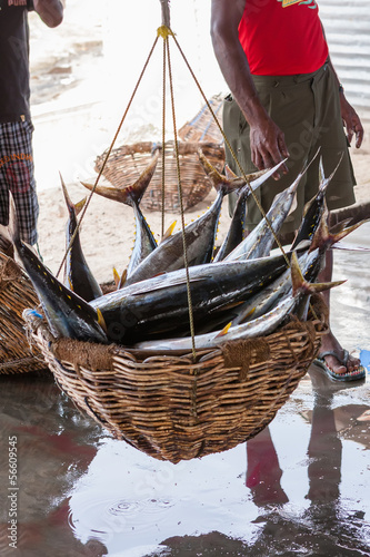 Fish and seafood at seamarket in Sri Lanka photo