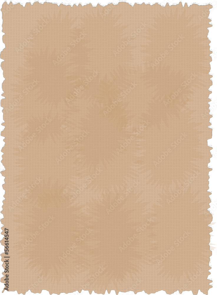 Obraz premium Old Paper