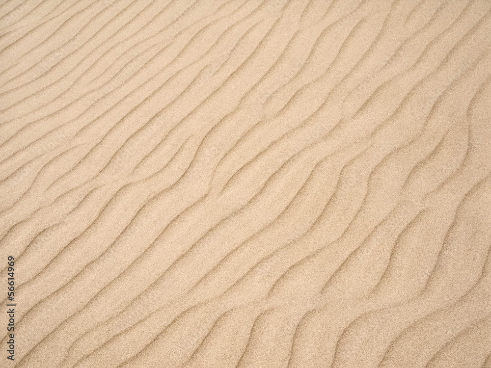 Beach sand texture Beach sand texture