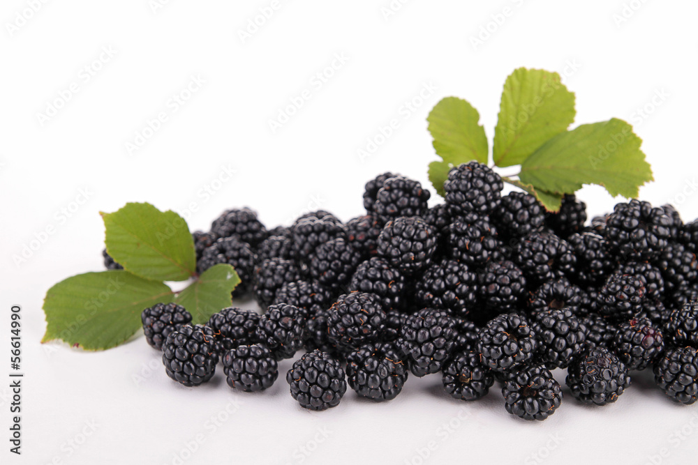 isolated blackberries isolated blackberries