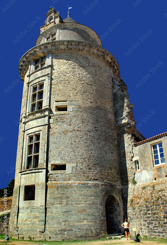 Château d'Apremont (Vendée)