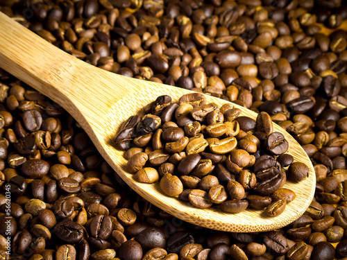 Coffee beans on a wooden ladle