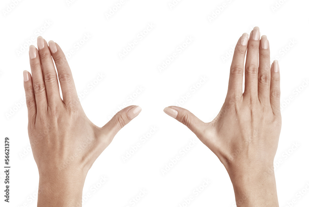 hands of woman hands of woman