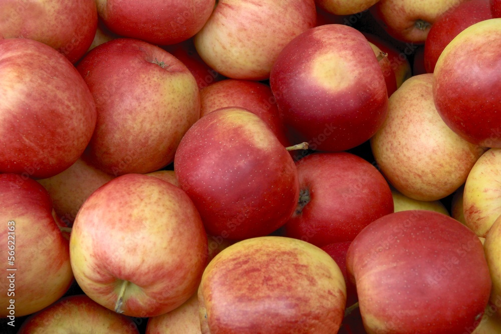 red tasty apples red tasty apples