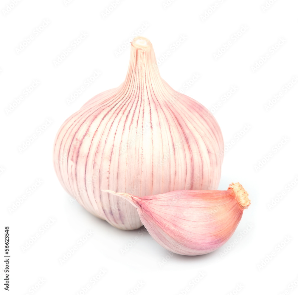 Obraz premium garlic