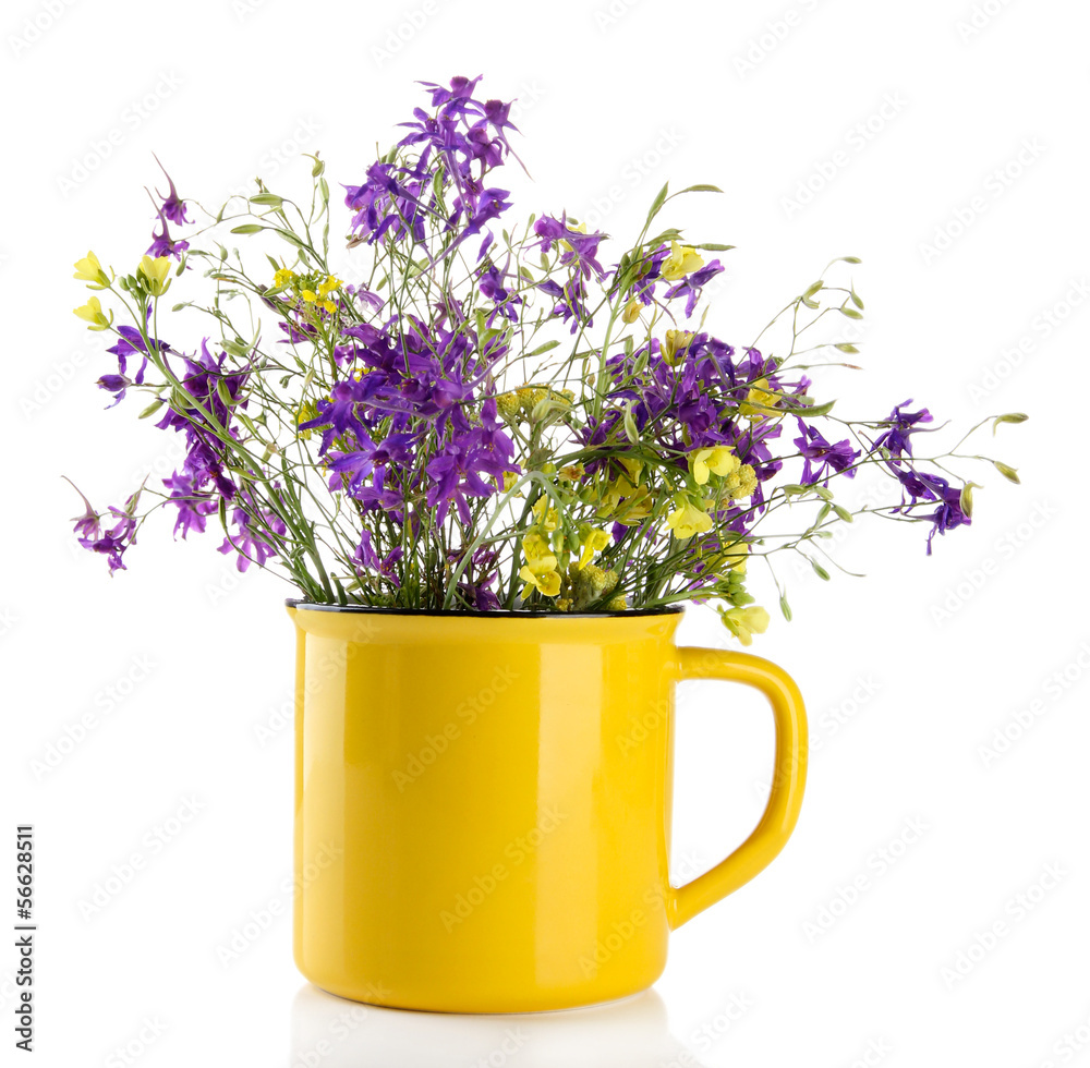 Beautiful bouquet of wildflowers in cup, isolated on white Beautiful bouquet of wildflowers in cup, isolated on white