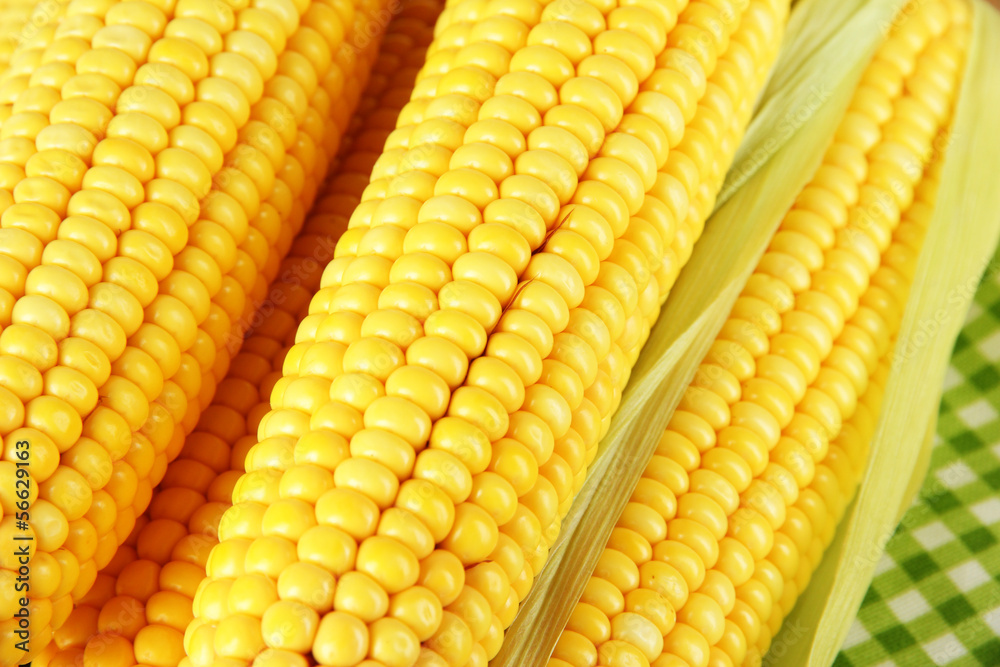 Crude corns on napkin on wooden table Crude corns on napkin on wooden table