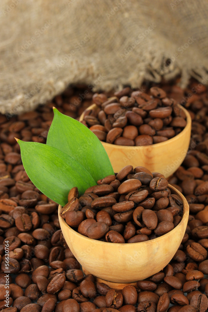Fototapeta premium Coffee beans in bowls isolated on white