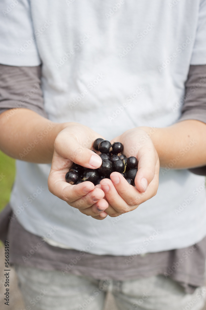 Hands holding out berries Hands holding out berries