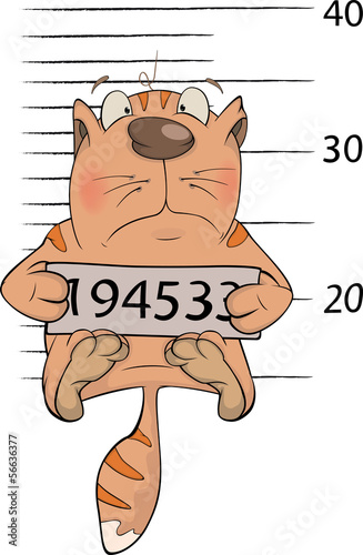 Cat the prisoner. Criminal mug shot. Cartoon.