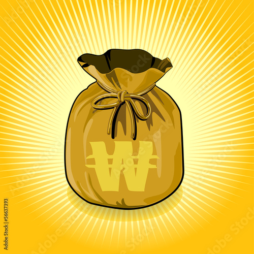 South Korea Won Gold Bag of Money Save for Success.