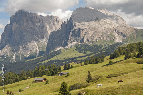 Montagna,Dolomiti,Alpe di Siusi,Alto Adige,Italia