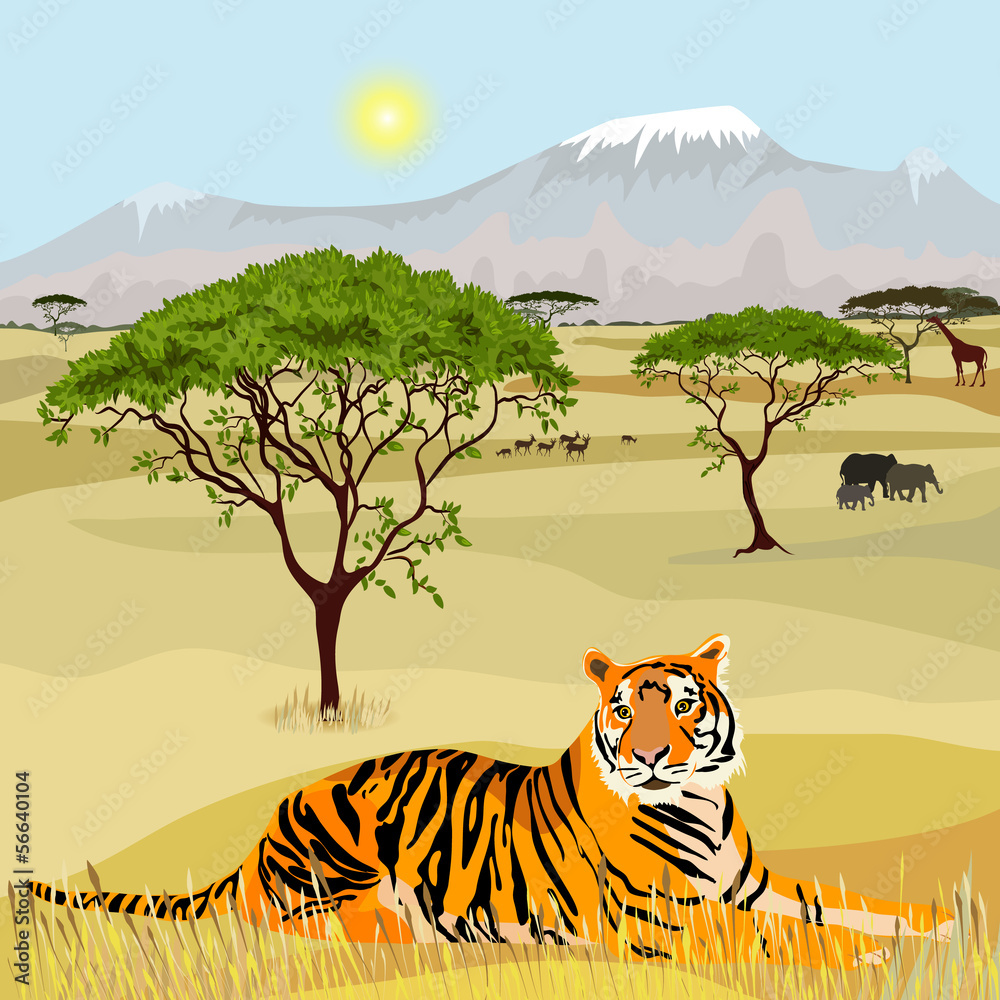 Fototapeta premium African Mountain idealistic landscape with tiger