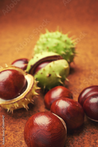 Groups of chestnut nuts on white close up . brown background