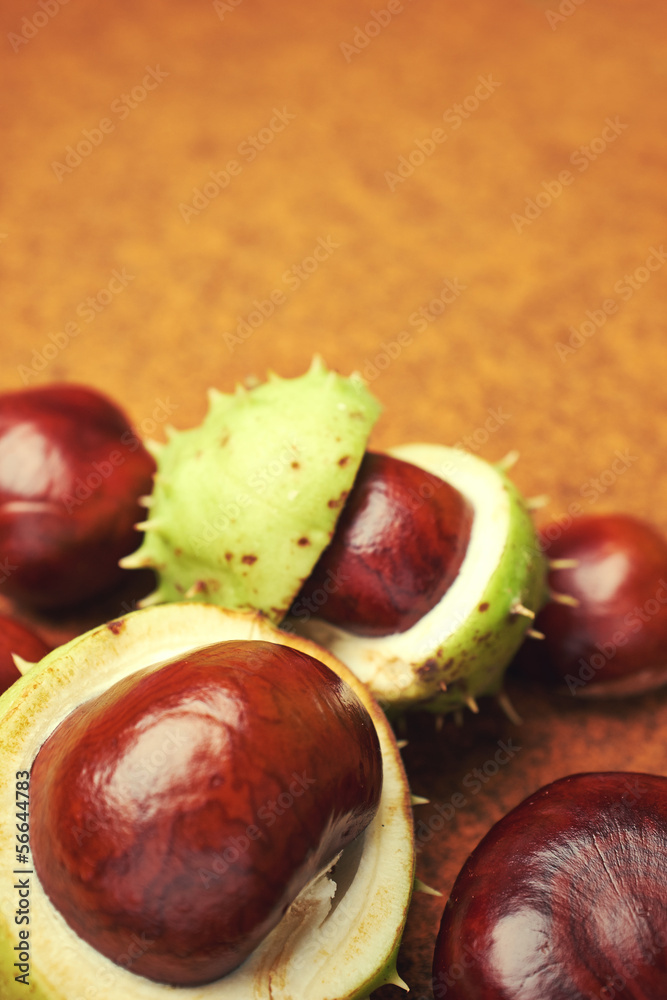 Groups of chestnut nuts on white close up . brown background Groups of chestnut nuts on white close up . brown background