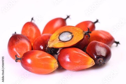 Photos Oil palm fruit