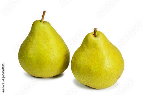 european pear