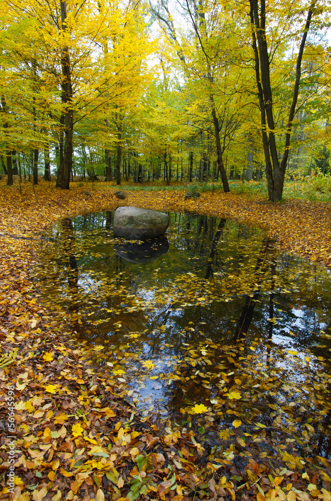 Autumn landscape with colored leaves and reflection in water