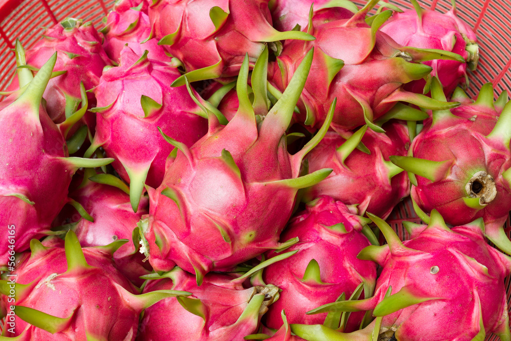Dragon fruit Dragon fruit