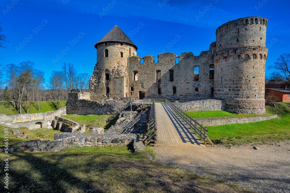Ruins of Cesis Castle