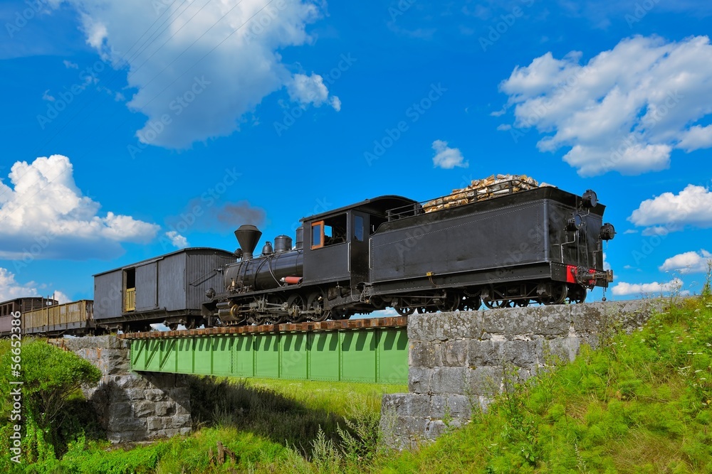 Obraz premium Narrow gauge steam train.
