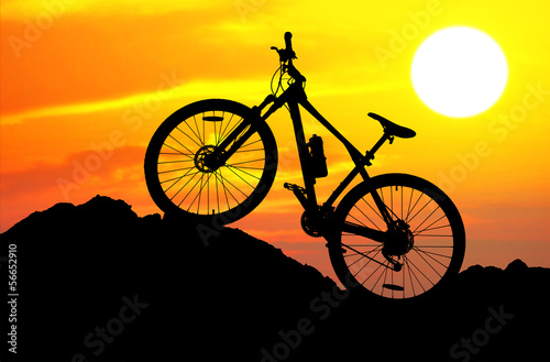 Wallpaper Mural Mountain bike Torontodigital.ca