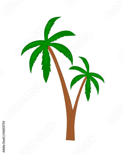 Palm trees - vector illustration.