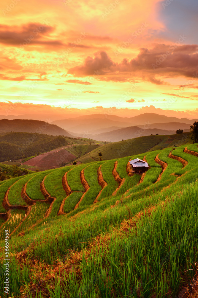 Obraz premium Rice Terraces with sunset backdrop at Ban Papongpieng Chiangmai