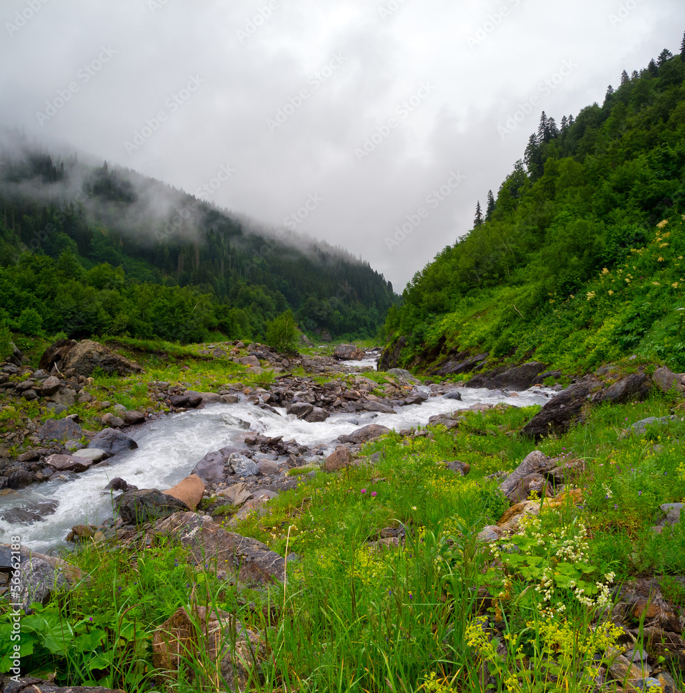 Mountain stream landscape in Svaneti