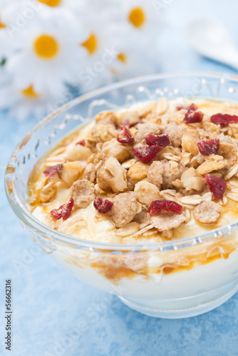 dessert of yogurt with honey, granola and dried cranberries
