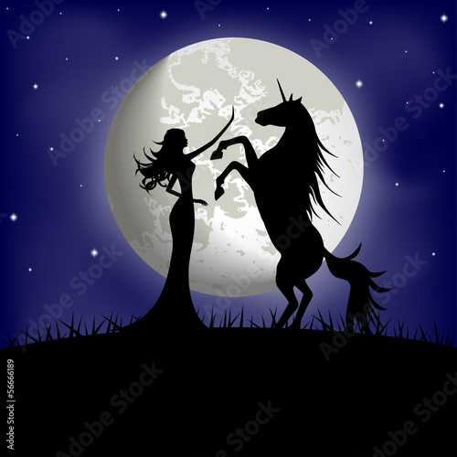 Silhouette of beautiful girl and unicorn on a background of moon #56666189